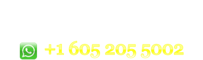 E-Visa India Online in USA Indian e-Tourist E-Business Visa